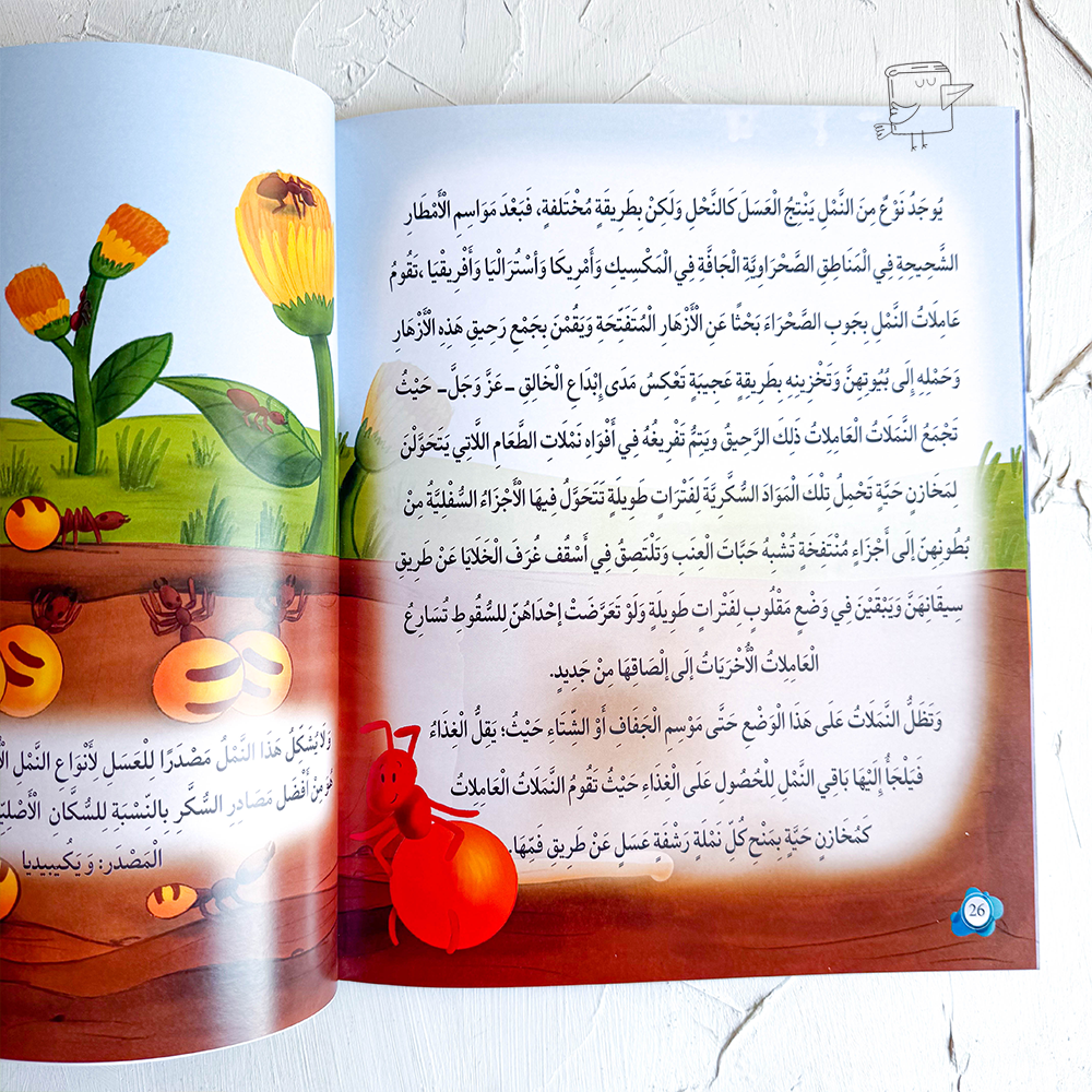 أين وهل ولماذا وكيف؟