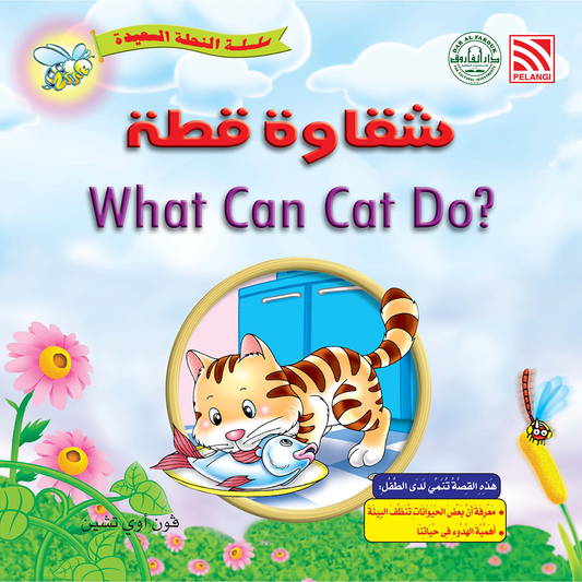 شقاوة قطة