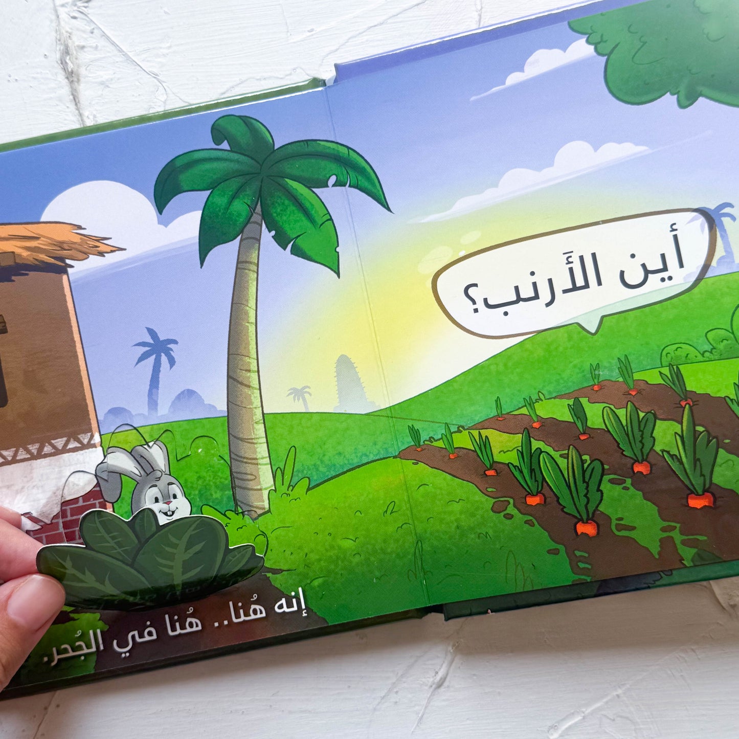 بيوت فى المزرعة